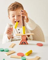 Jucarii de Sortat si Stivuit