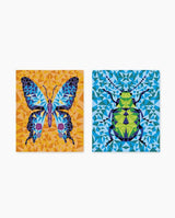 Set de pictura, Janod, Insecte, urmareste numerele, 7 ani+ - Elcokids