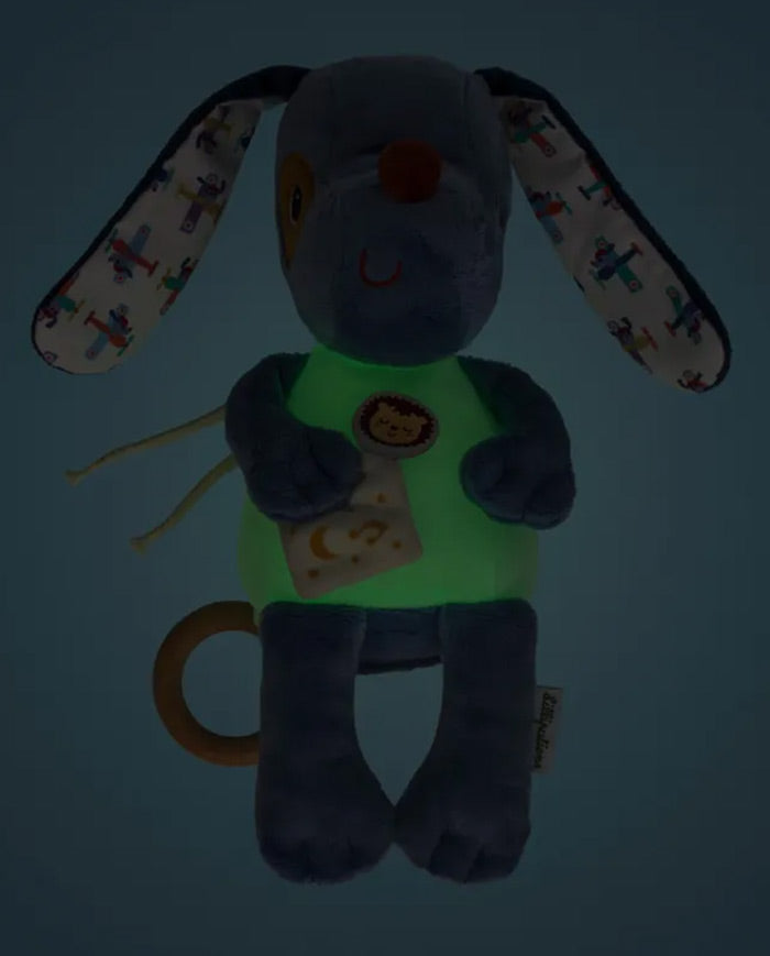 Jucarie din plus muzicala, Lilliputiens, fosforescenta, Catelusul Jules, 6 luni+