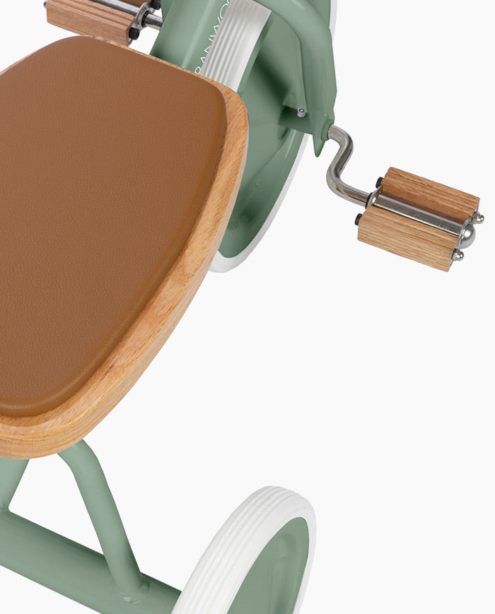 Tricicleta Vintage cu pedale, Banwood, cadru otel, ghidon reglabil, verde, 3 ani+