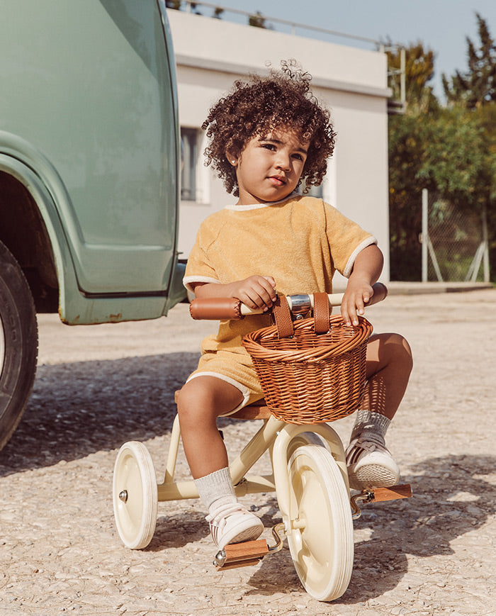 Tricicleta Vintage cu pedale, Banwood, cadru otel, ghidon reglabil, verde, 3 ani+