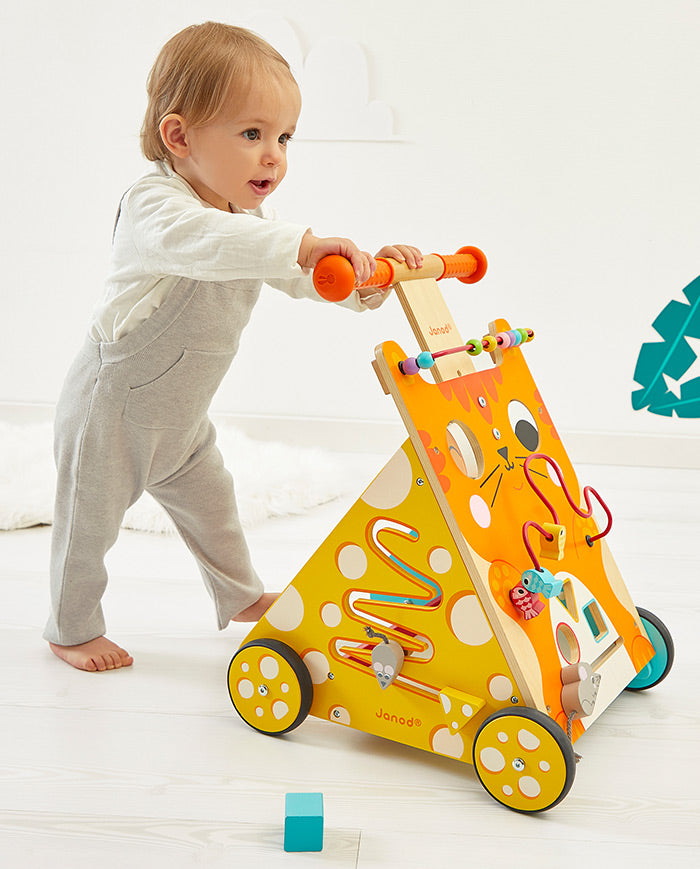 Premergator din lemn, Janod, multi-activitati, 1-3 ani