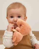 Jucarie pentru dentitie, Kaloo, Veverita, 14 cm