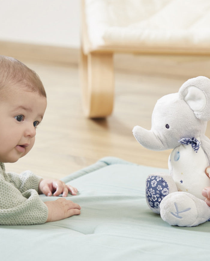 Jucarie din plus, Kaloo, Elefant, 28 cm